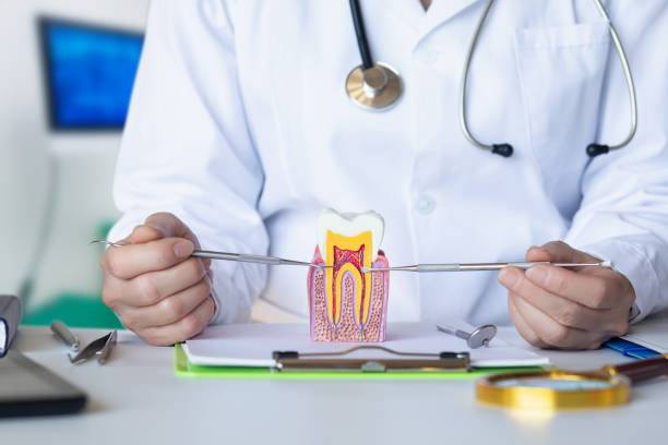Best Emergency Tooth Extraction  in Litchfield, IL